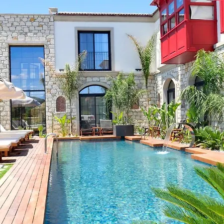 Dmira (adults Only) *