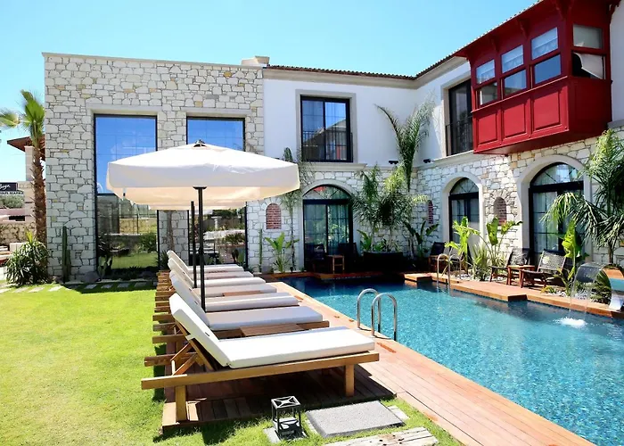 Dmira (adults Only) *