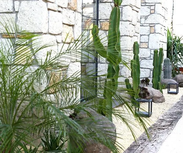 Dmira (adults Only) Hotell *