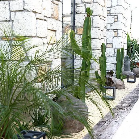 Dmira (adults Only) Hotel *