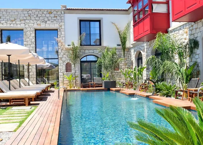 Dmira (adults Only) *