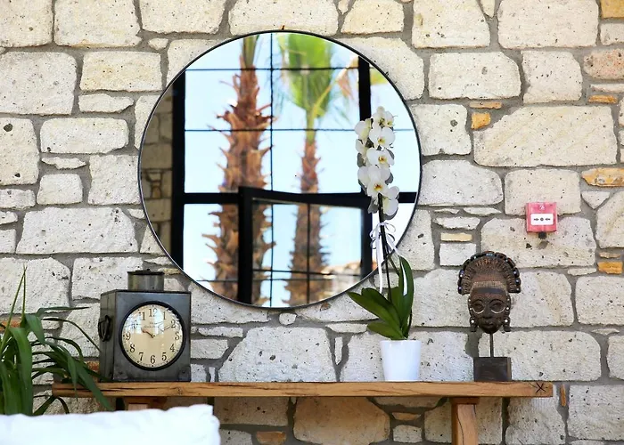 Dmira (adults Only) *