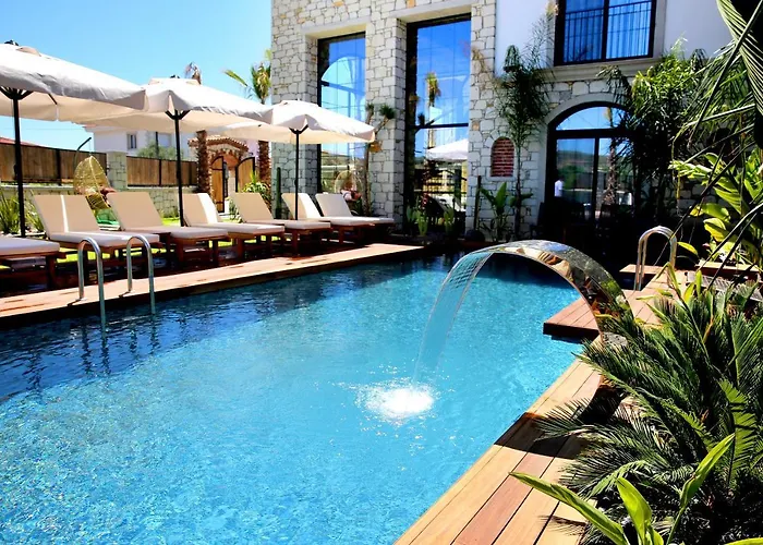 Dmira (adults Only) *