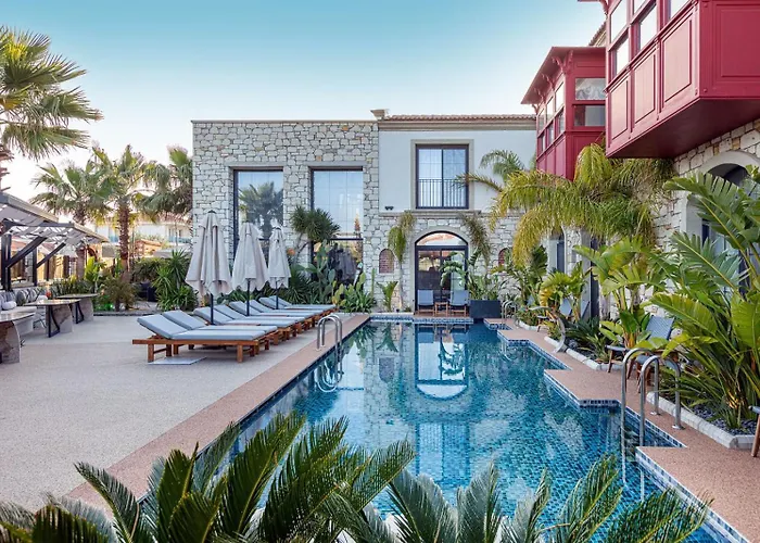 Dmira (adults Only) *